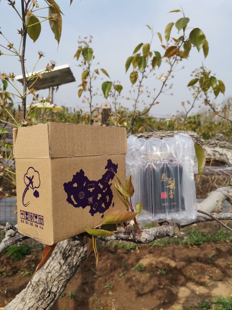 正宗莱阳原产地莱阳茌梨膏