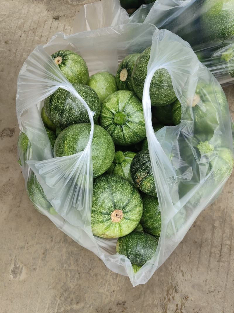 小南瓜，炒菜吃的小南瓜