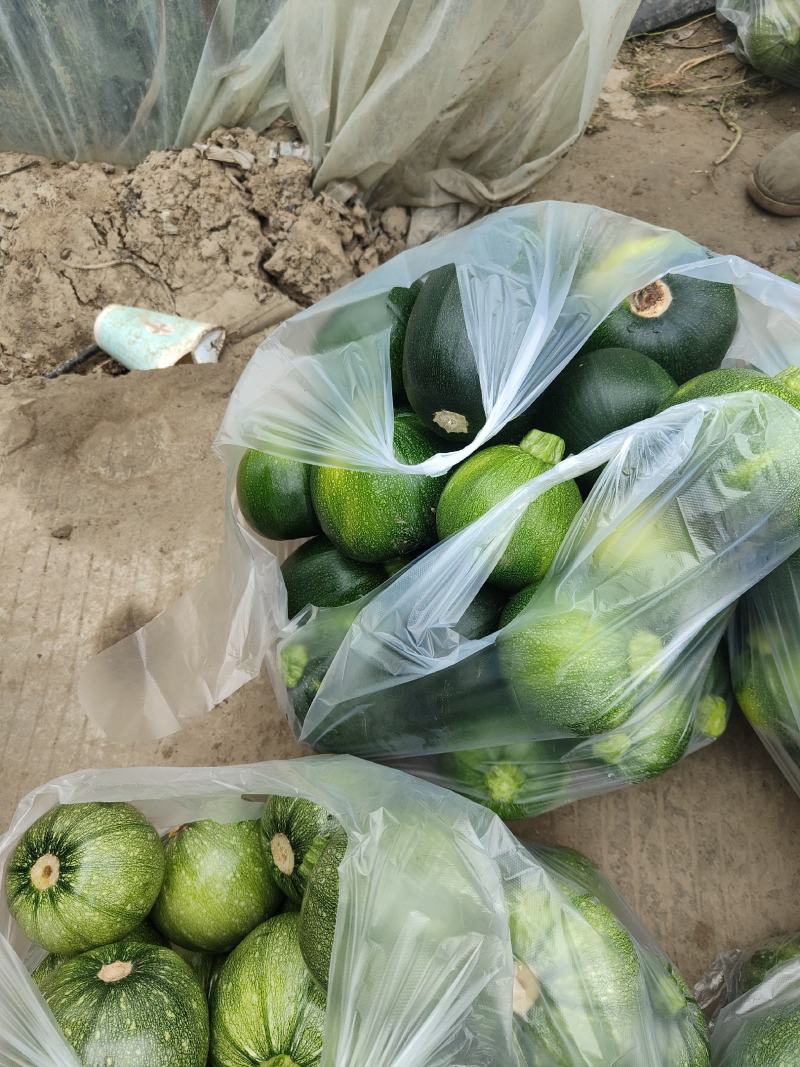 小南瓜，炒菜吃的小南瓜