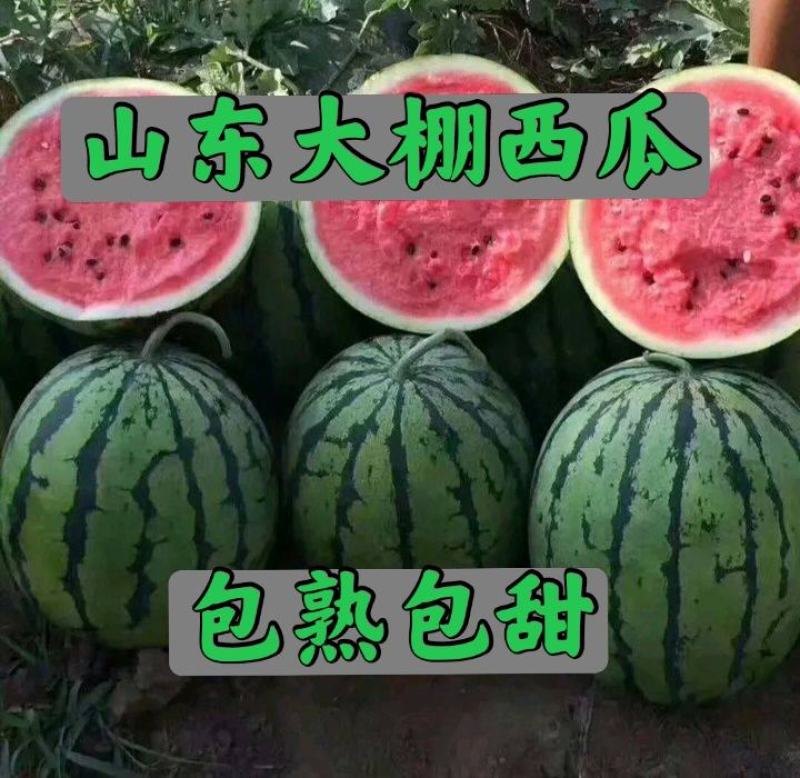 山东甜王西瓜大量上市，包熟包甜，全国代发