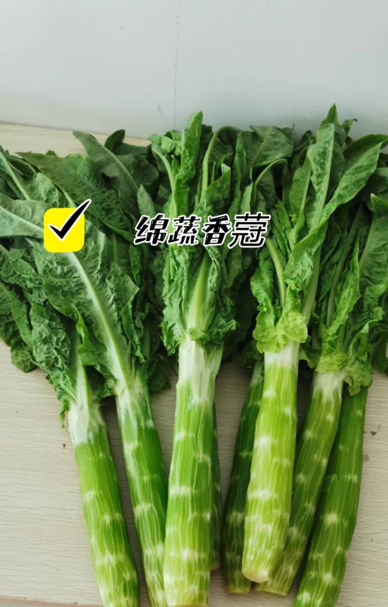 绵蔬香蒄/香莴笋种子/莴苣/蔬菜种子/绵蔬种业/耐热莴笋