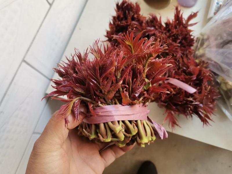 陕西露天红油香椿，品质保证，长期合作支持一件代发包售后。