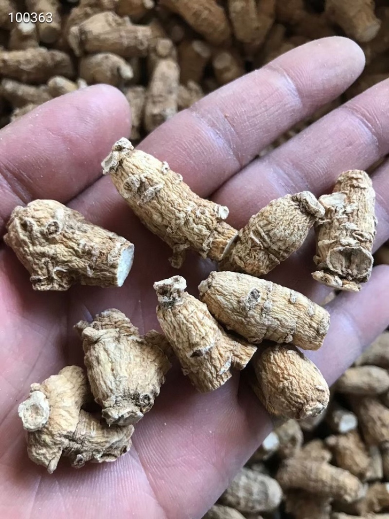 西洋参软质粒头1克2克5克软质粒头价格便宜
