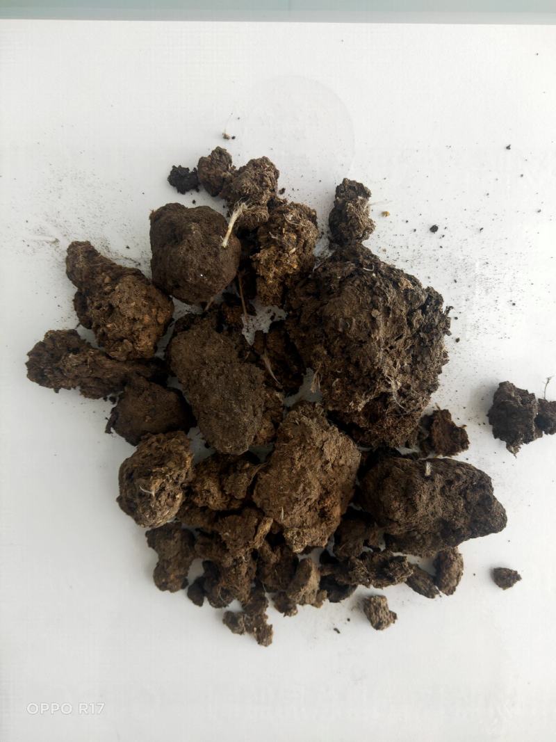 鸡粪干，猪粪干，发酵兔粪，牛粪，有机肥厂家供应品种齐全