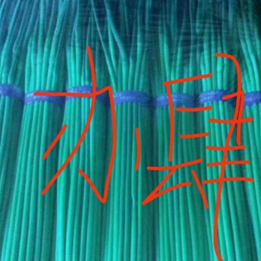精品邳州小红帽已经大量上市，适合每个小市场精品邳州小红帽
