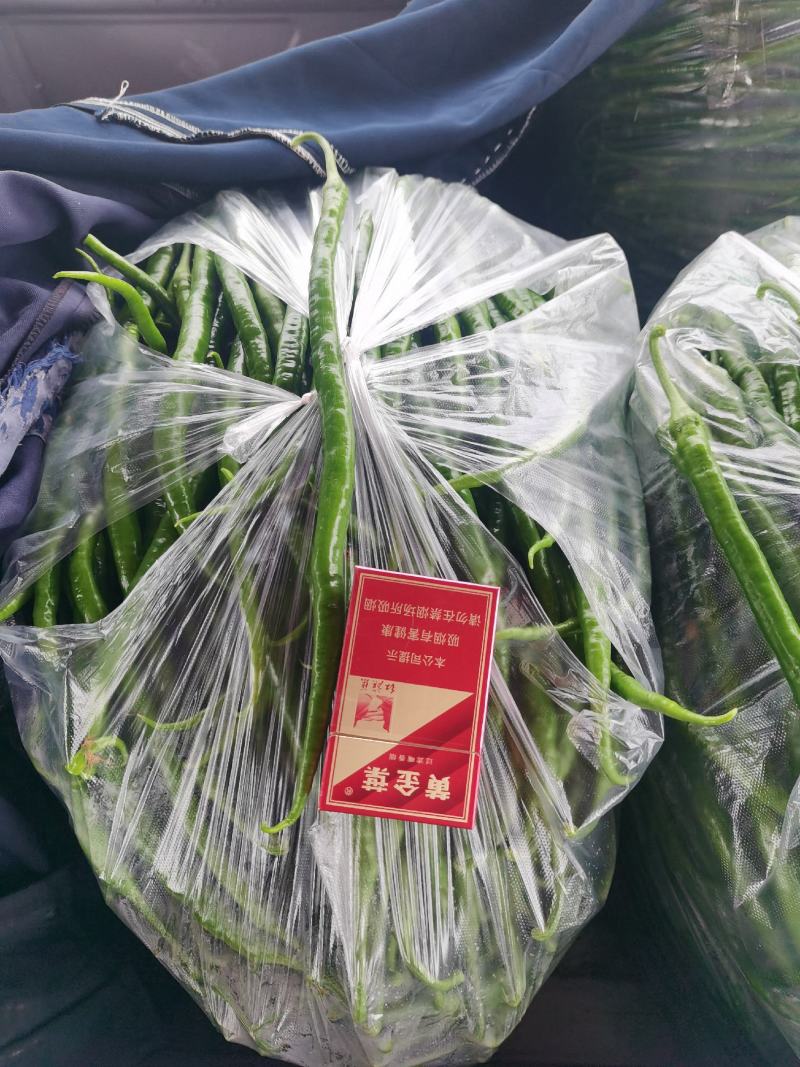 线椒20公分-35公分品质好特辣条直光亮欢迎大家前来选购