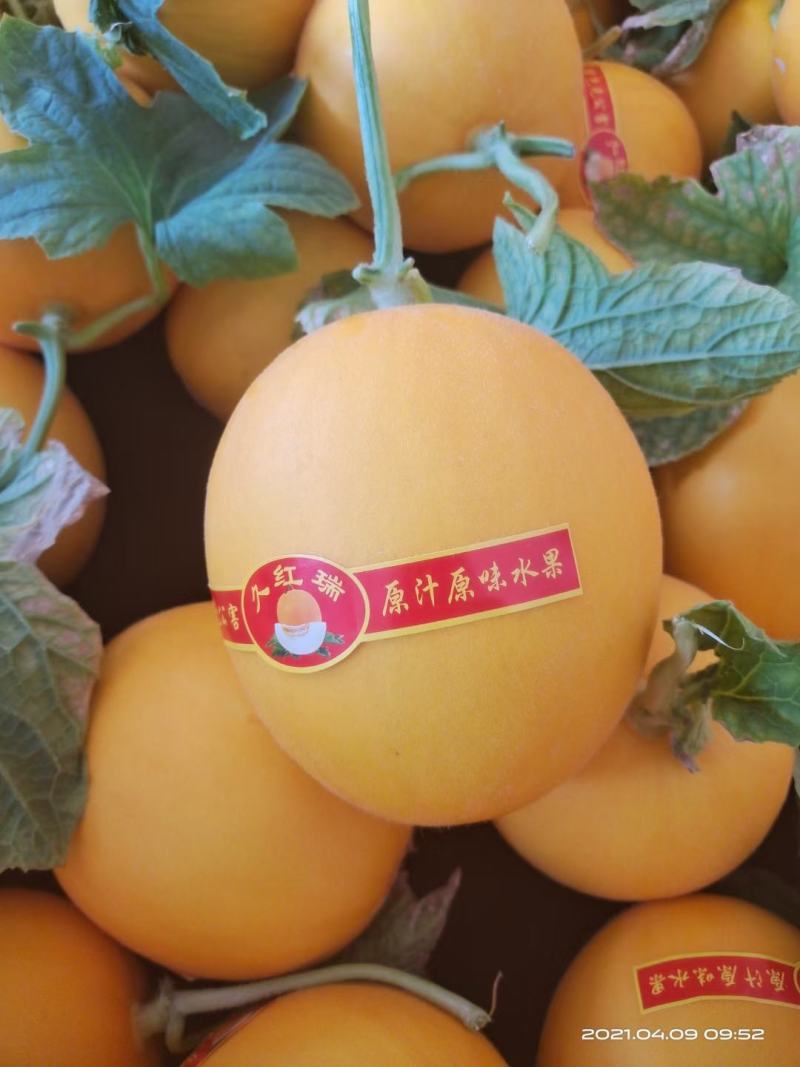 久红瑞