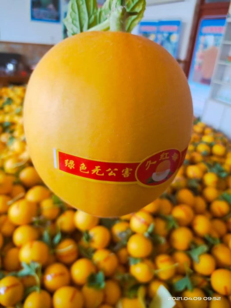 久红瑞
