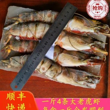 每盒净重1斤4条大鬼虾老虎虾草虾新鲜急冻九节虾一箱10盒