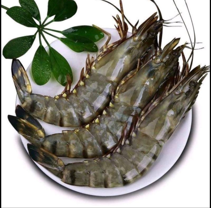 每盒净重1斤4条大鬼虾老虎虾草虾新鲜急冻九节虾一箱10盒
