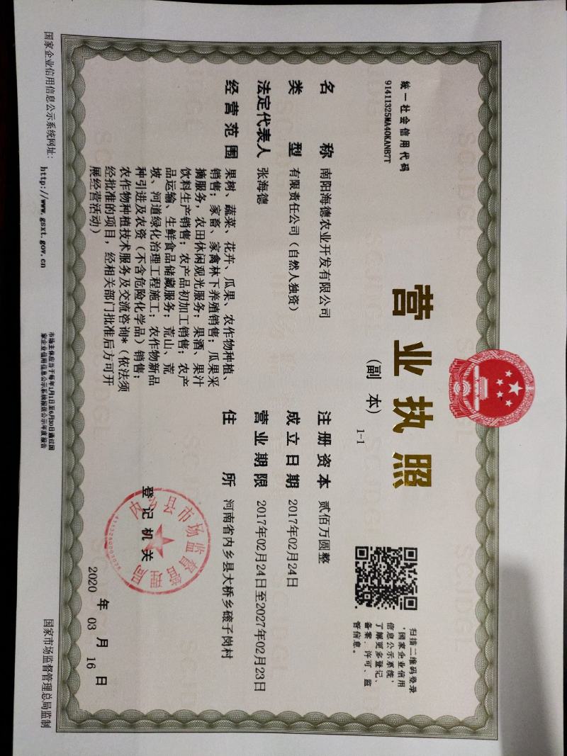 豌豆角大量上市南阳种植基地直发质量保证！