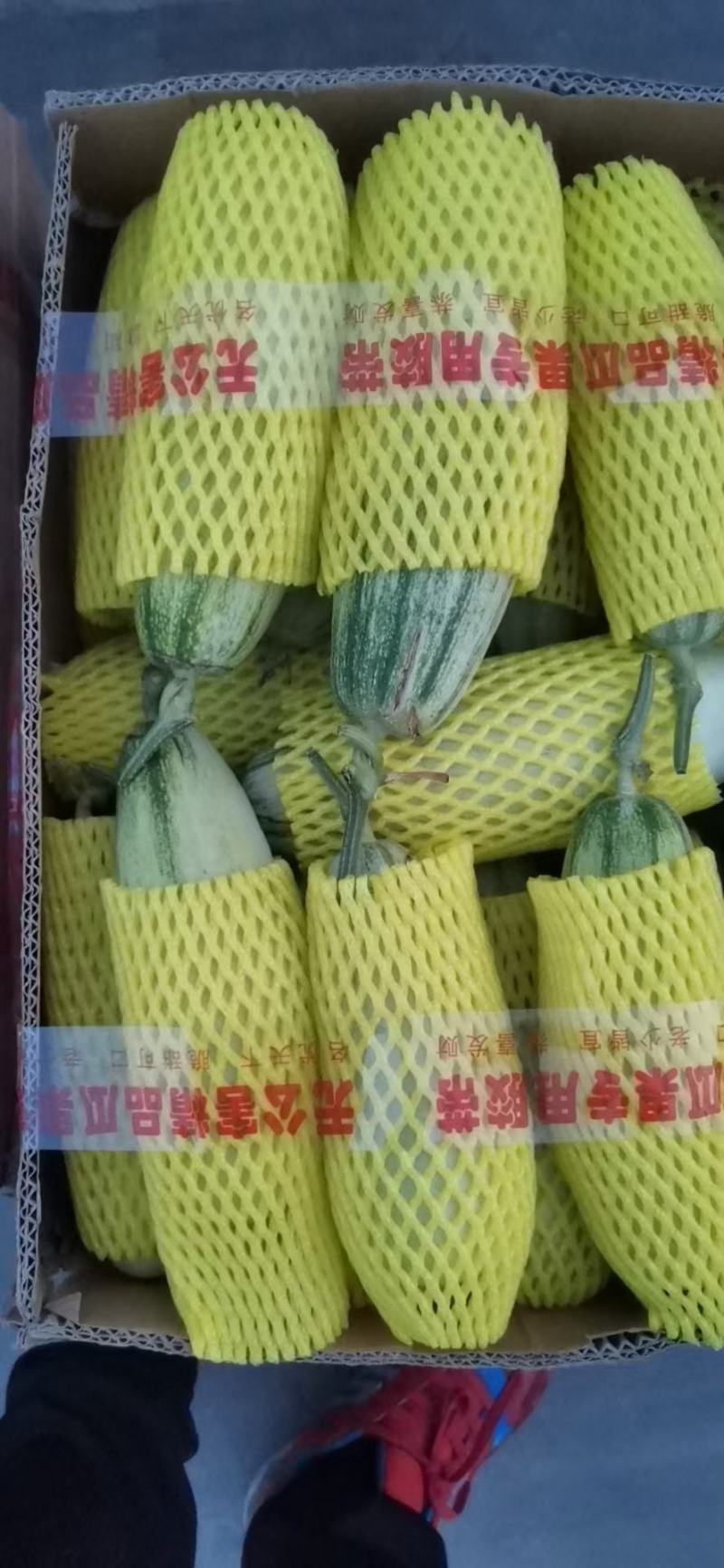 博洋六