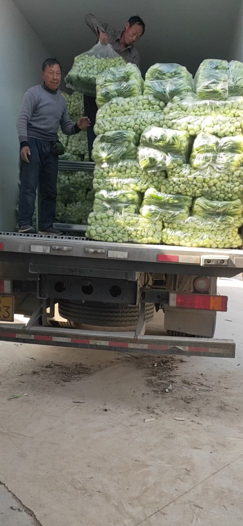 商丘精品上海青，小青菜，基地直供，大，中，小棵精品小青菜