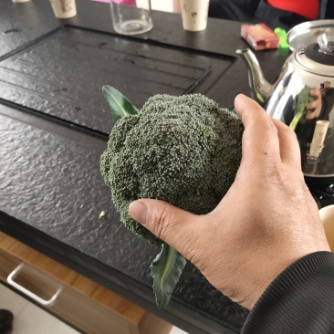 出售大量西蓝花
