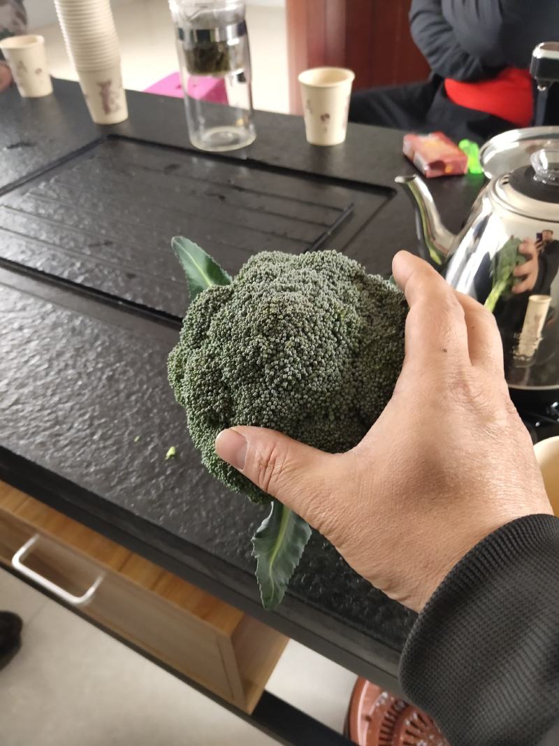 出售大量西蓝花