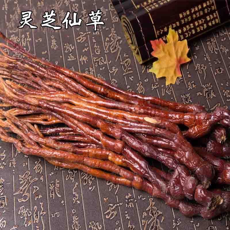 当季灵芝仙草正宗云南中药材灵芝草泡酒料炖汤料滋补养生新鲜