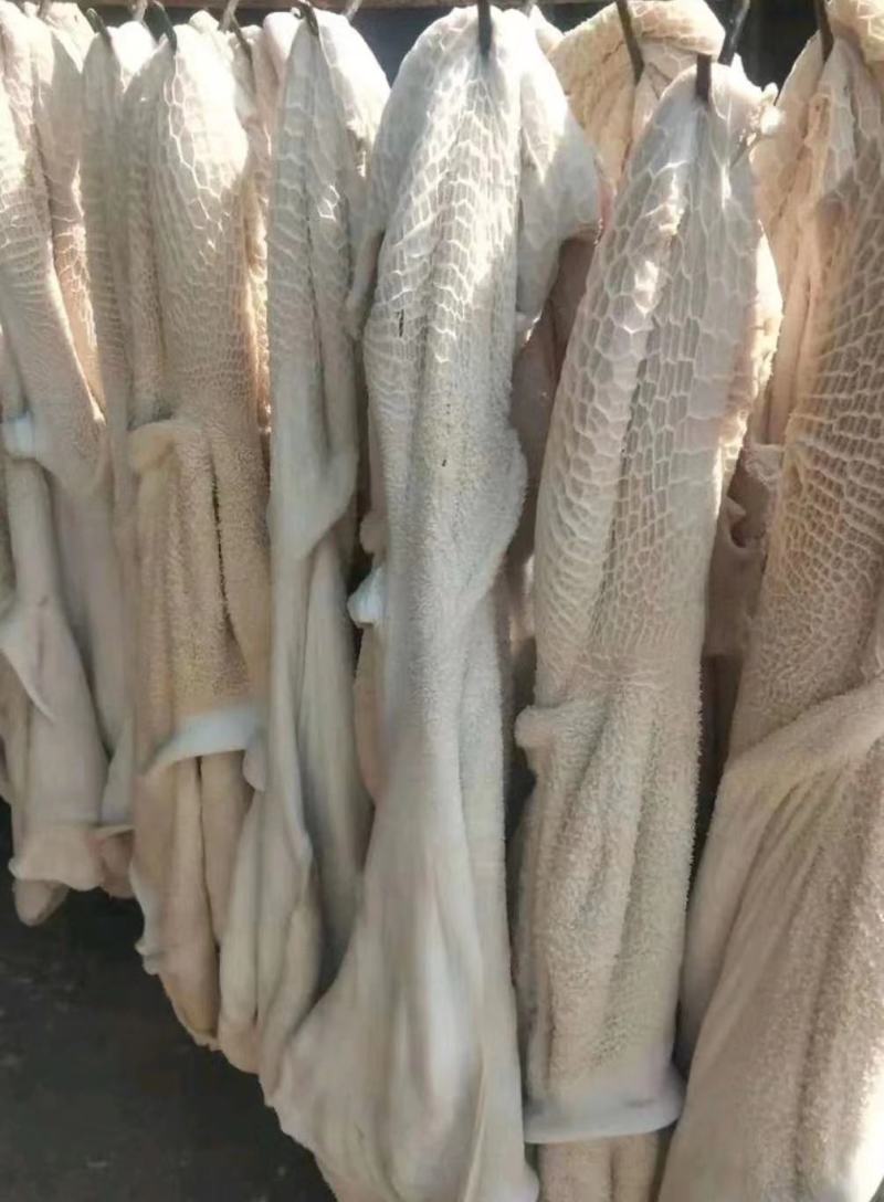 半成品牛白肚，厂家直发，质量保证货源充足量大从优