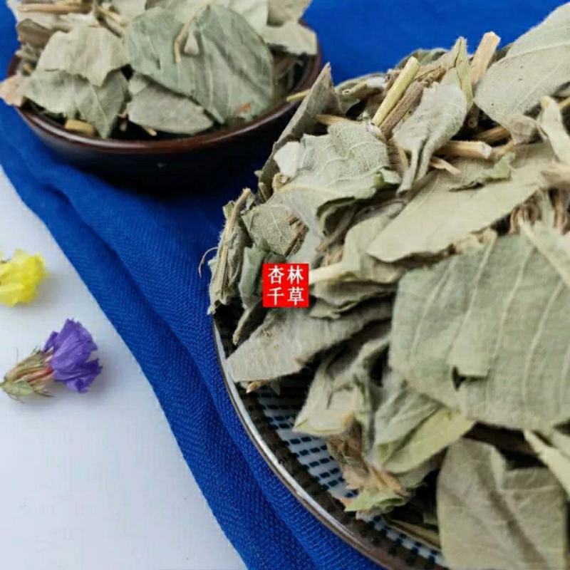 野生中药材金钱草大叶金钱草广金钱草过路黄包邮
