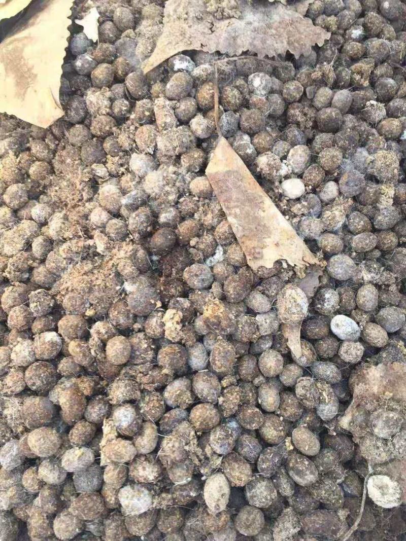 干鸡粪，猪粪，牛粪，羊粪，发酵有机肥料，
