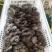 【荐】河北鲜平菇灰平菇大量上市对接大型商超市场电商