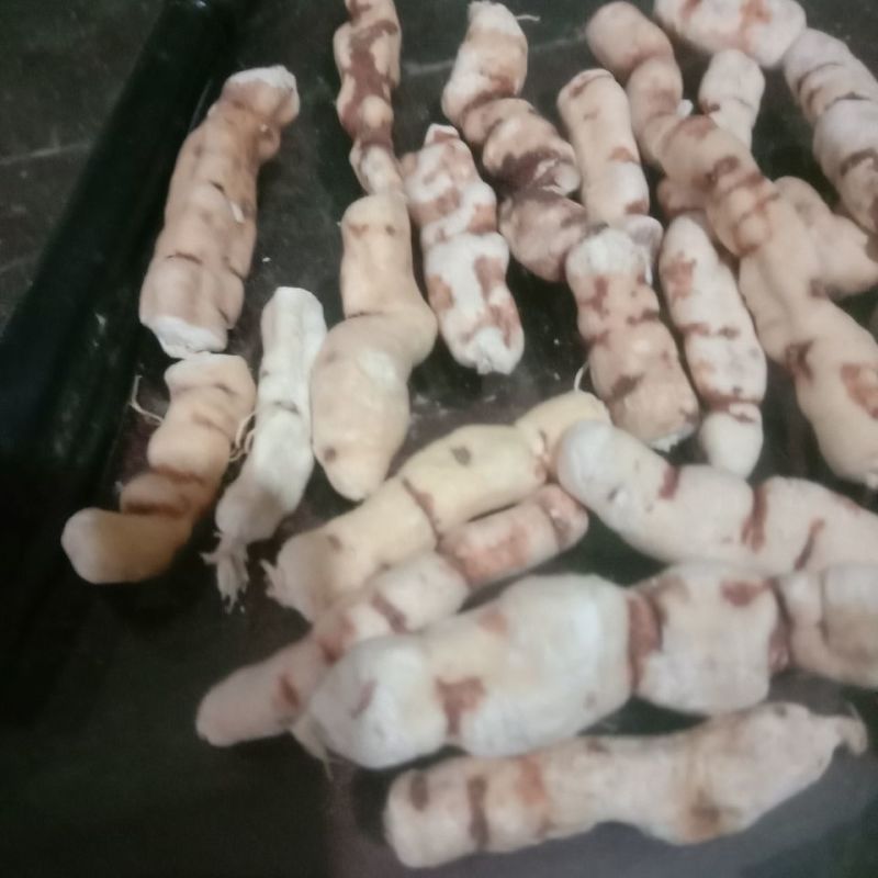 红大戟，三样都有各种冷背货等各种外用药材