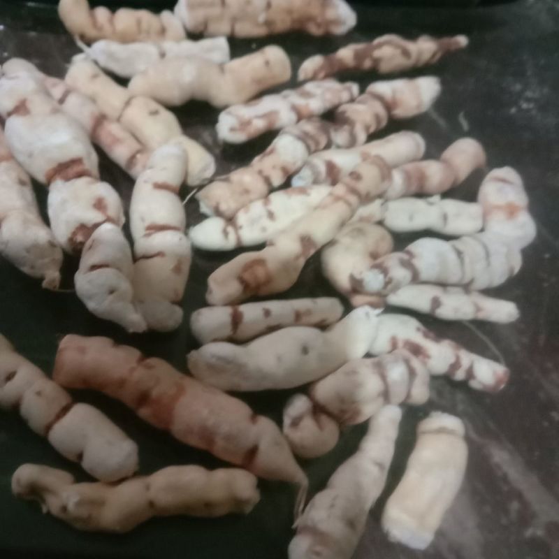 红大戟，三样都有各种冷背货等各种外用药材