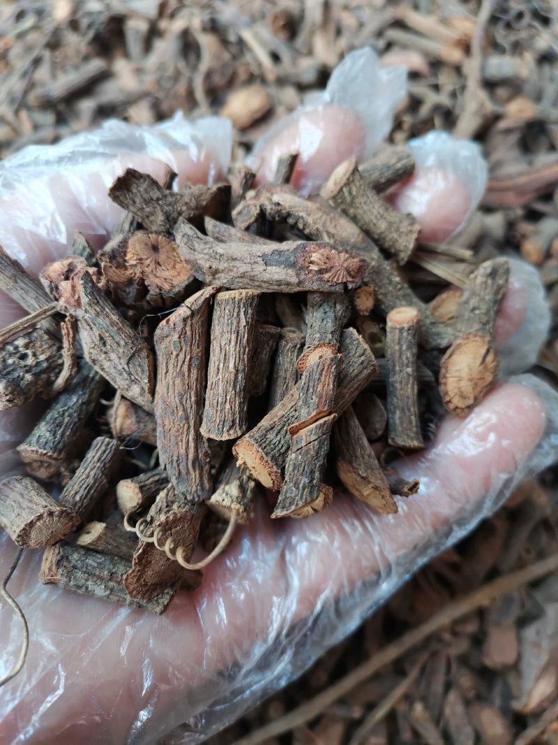 云南野生中药材五爪金龙五爪龙500g包邮