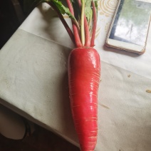 蔬菜