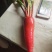 蔬菜