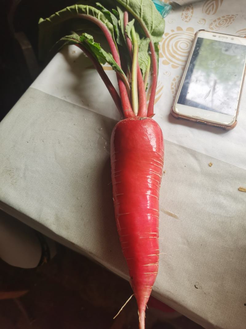 蔬菜