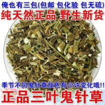 中药材鬼针草干鬼针草野生三叶鬼针草鬼针草茶优质精选