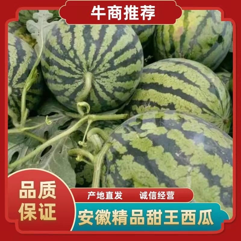精品甜王西瓜大量上市，产地直销，一手货源，代发全国