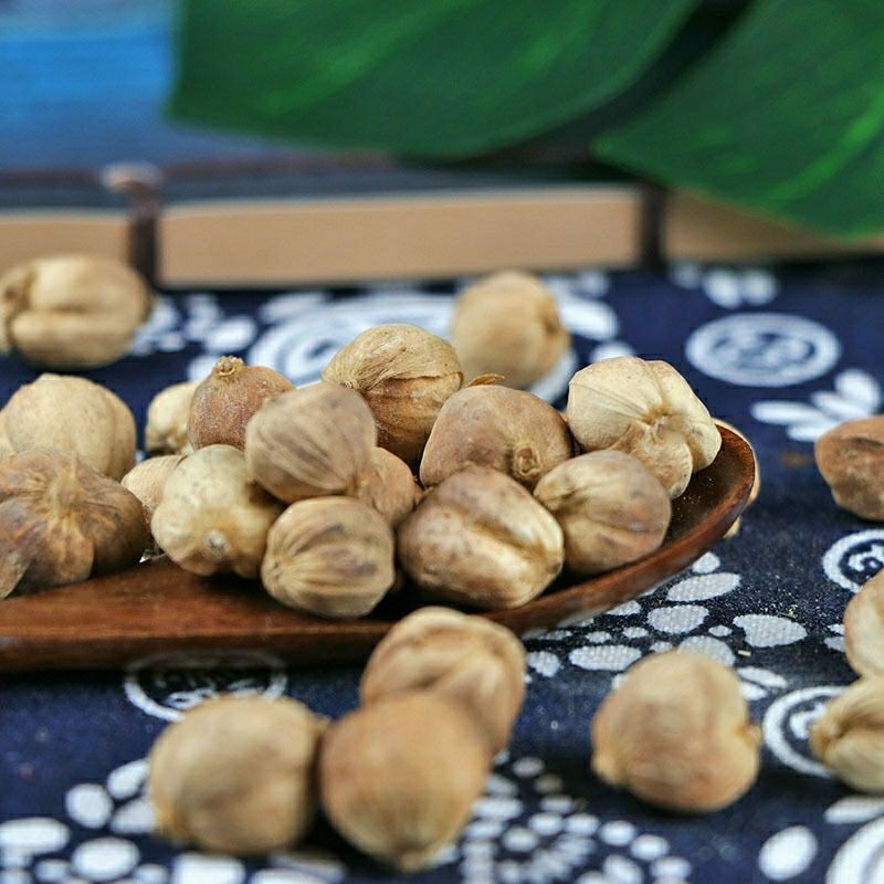 中药材白豆蔻白寇白叩香料调料散装包邮