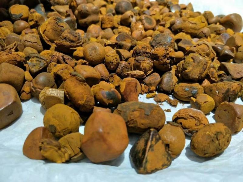 天热牛黄