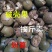 野生罗汉果破壳碎片大果广西桂林天然特产润喉新鲜干果罗汉果