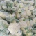 焦作博爱白面青梗，小米粒有机花菜，单个2斤左右，松散度适