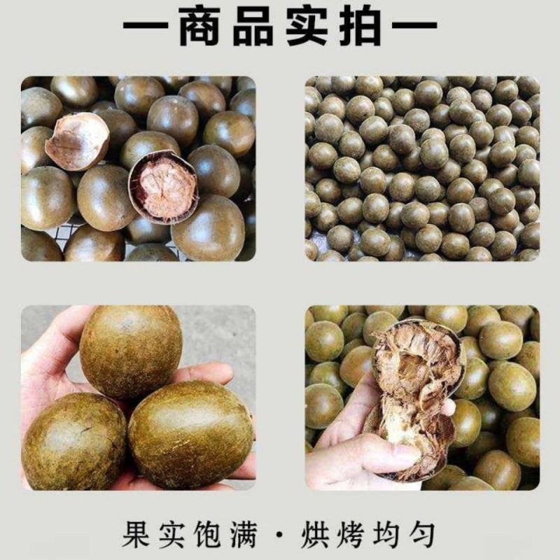 野生罗汉果大果广西桂林天然特产润喉新鲜干果罗汉果