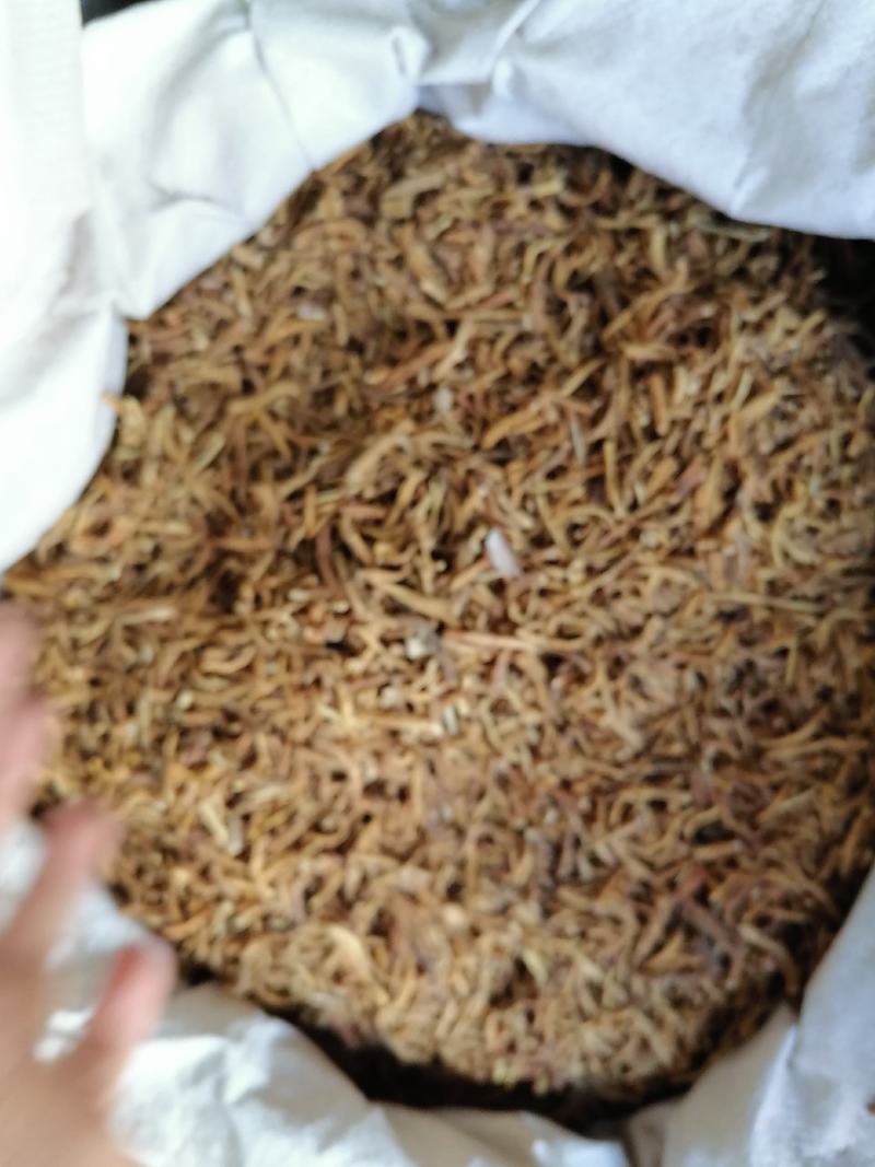秦九秦艽云南无硫中药材家种批发零售各种规格中药材