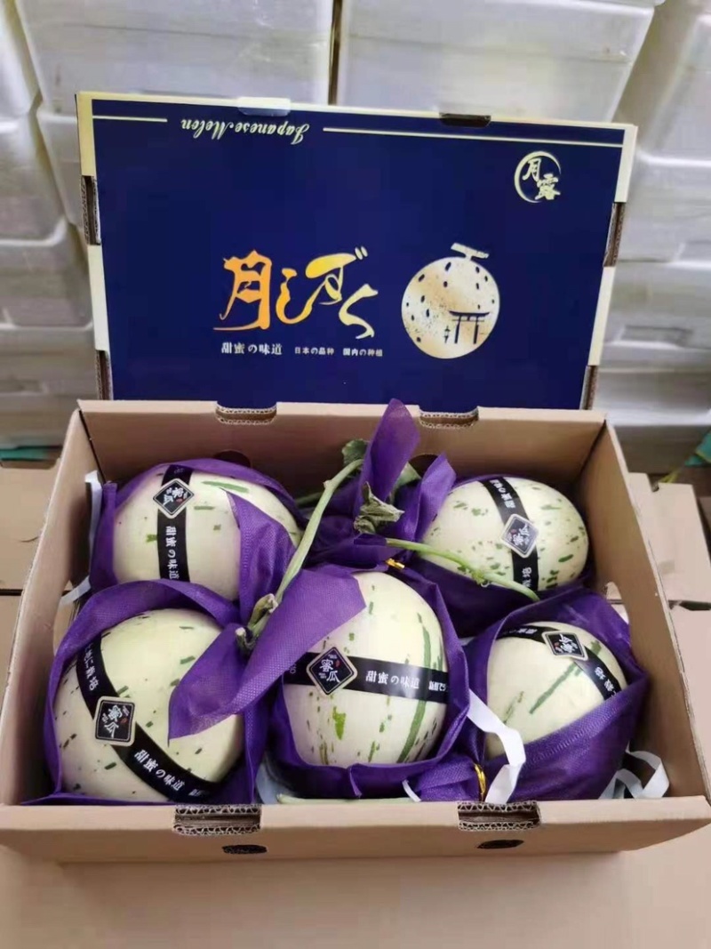 甜瓜🍈产地、产地代收代发全国、保质保量、货到付款