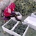 【推荐】焦作博爱西兰花，大量上市，小米粒，球型好，价格低