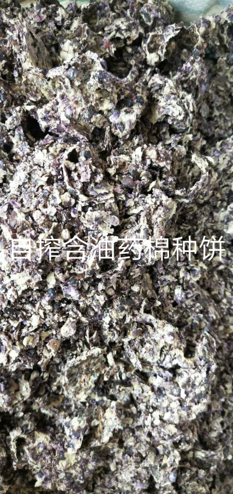 熟榨新疆棉籽饼，无杂，无水片状，养殖场或肥料的**