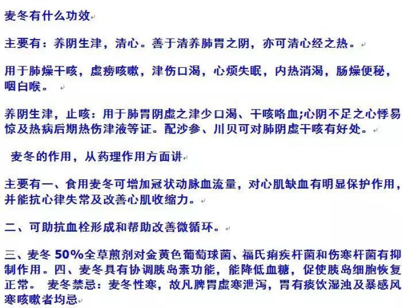 现挖药用麦冬种苗中细叶麦冬草沿边草四季常青绿化苗麦冬苗