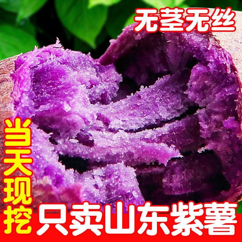 山东紫薯批发紫薯现货紫罗兰新鲜红薯地瓜装车支持一件代发