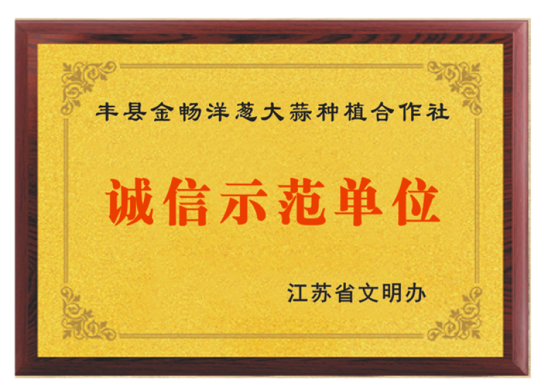 丰县洋葱紫皮洋葱大量上市，上货快，价格合适欢迎选购
