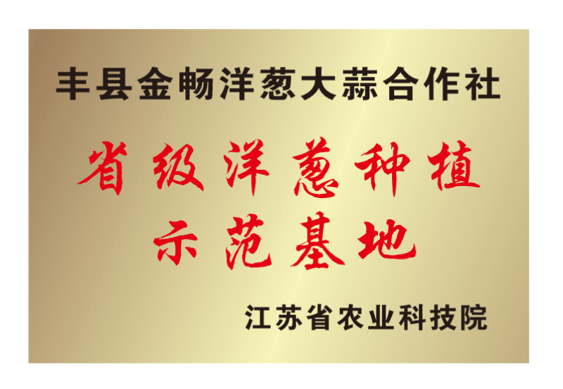 丰县洋葱紫皮洋葱大量上市，上货快，价格合适欢迎选购