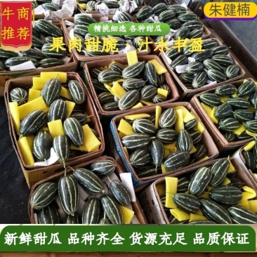甜瓜博洋9，博洋91，绿宝石金典黄金密花姑娘等口感脆甜