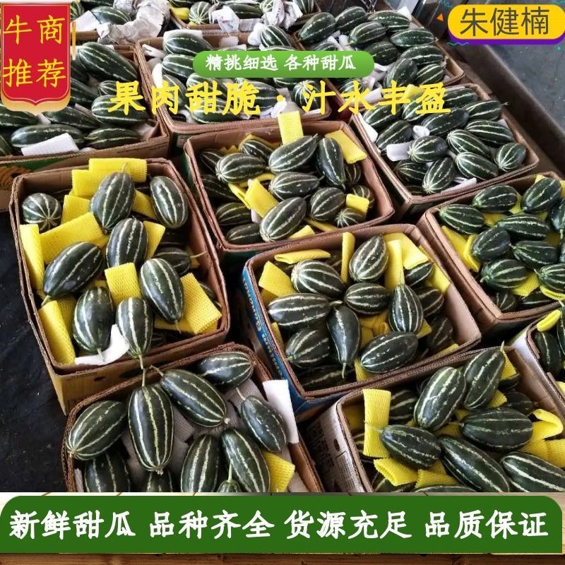 甜瓜博洋9，博洋91，绿宝石金典黄金密花姑娘等口感脆甜