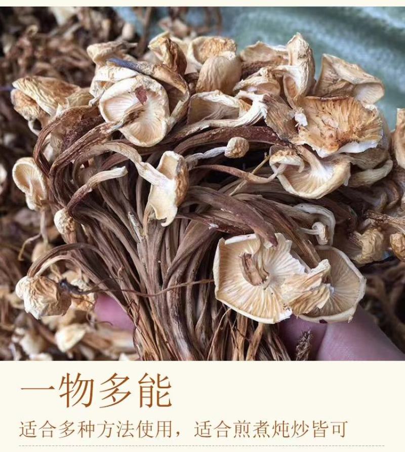 茶树菇干货茶树菇食用菌干货地摊经济批发