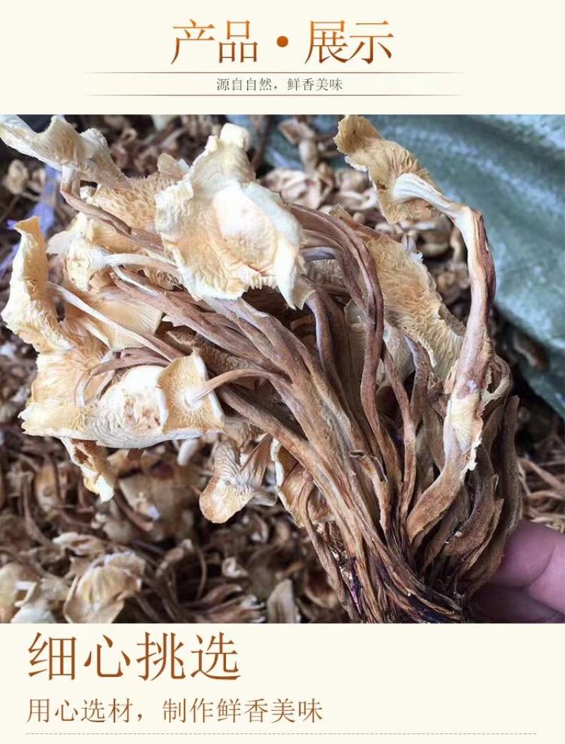 茶树菇干货茶树菇食用菌干货地摊经济批发