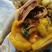 江汉土鸡散养八个月左右健康无呼吸道感染油黄